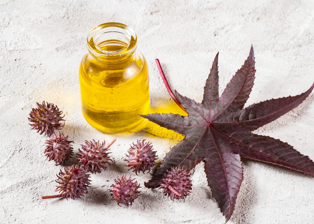 First Pressed Degummed Castor Oil